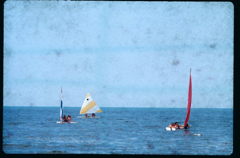 Sailboats on the lake -1